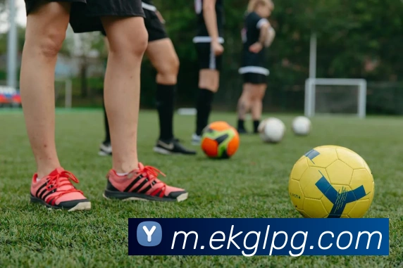 pg电子服务体系